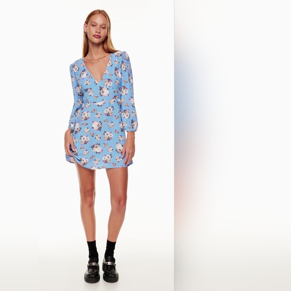 Aritzia Sunday Best Grayson Mini Floral Dress, Size 6, EUC